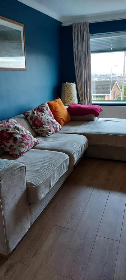 Bellevue Bungalow - Comfortable Home With Amazing Views 벨파스트 외부 사진