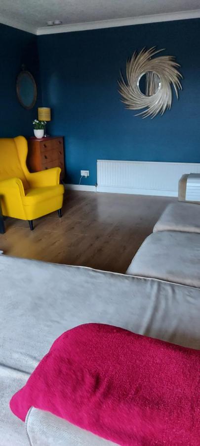 Bellevue Bungalow - Comfortable Home With Amazing Views 벨파스트 외부 사진