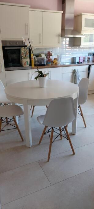Bellevue Bungalow - Comfortable Home With Amazing Views 벨파스트 외부 사진