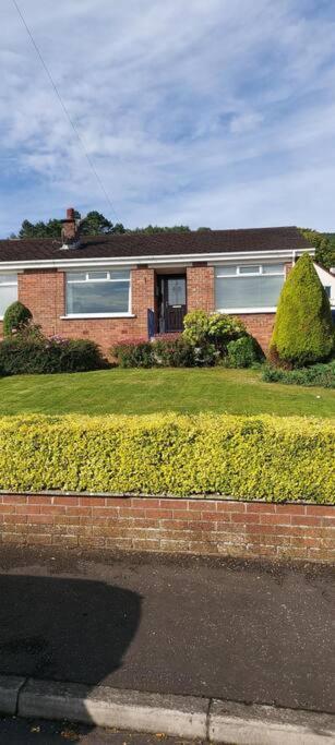 Bellevue Bungalow - Comfortable Home With Amazing Views 벨파스트 외부 사진