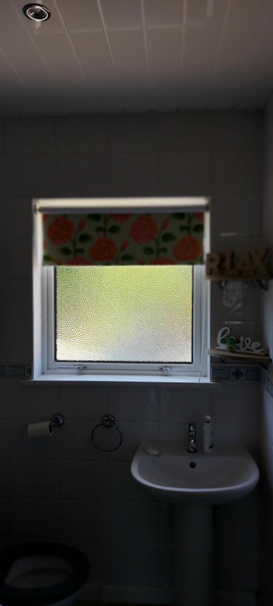 Bellevue Bungalow - Comfortable Home With Amazing Views 벨파스트 외부 사진